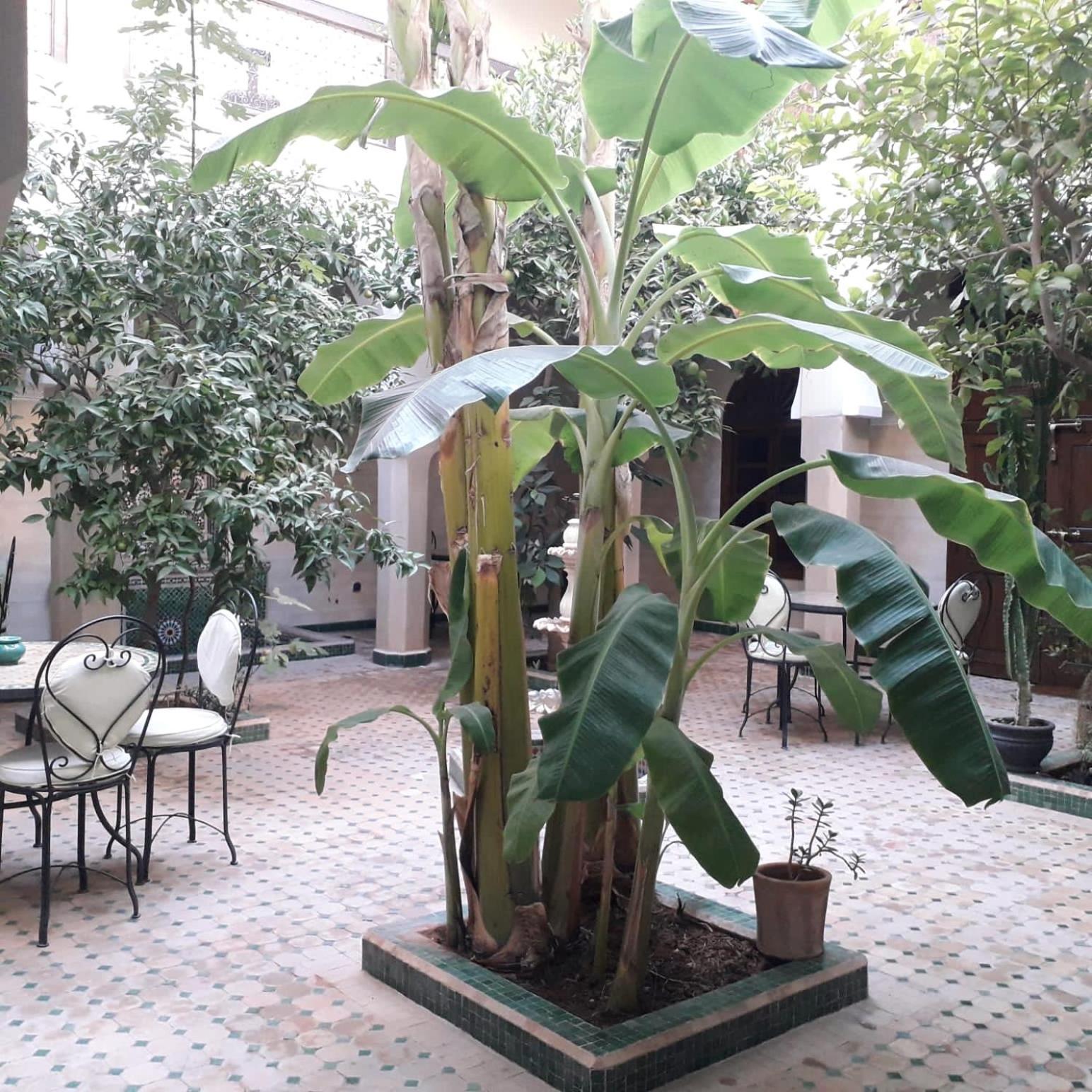Riad Tidar By Phoenix Маракеш Екстериор снимка